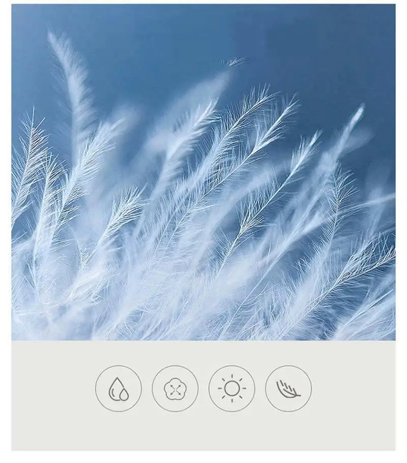 9166965282_1903448628