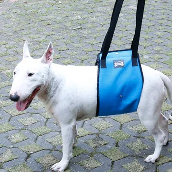 

Pet Dog Lift Support Harness High Quality Old Dog Helpful Assists Straps With Handle For Injured Hind Legs Dogs S/M/L/XL DXQB18