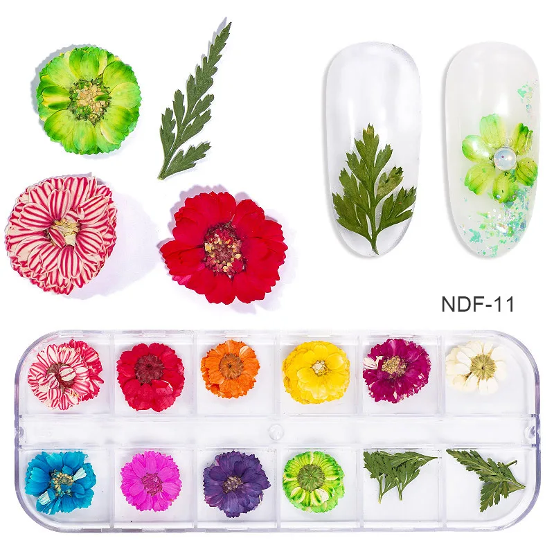 1 чехол сухие цветы ногтей Наклейка многоцветный натуральный Лисий Мех сушеные лепесток Нейл-арт Декор реальные Флора Гель-лак для ногтей, инструменты для маникюра - Цвет: NDF-11