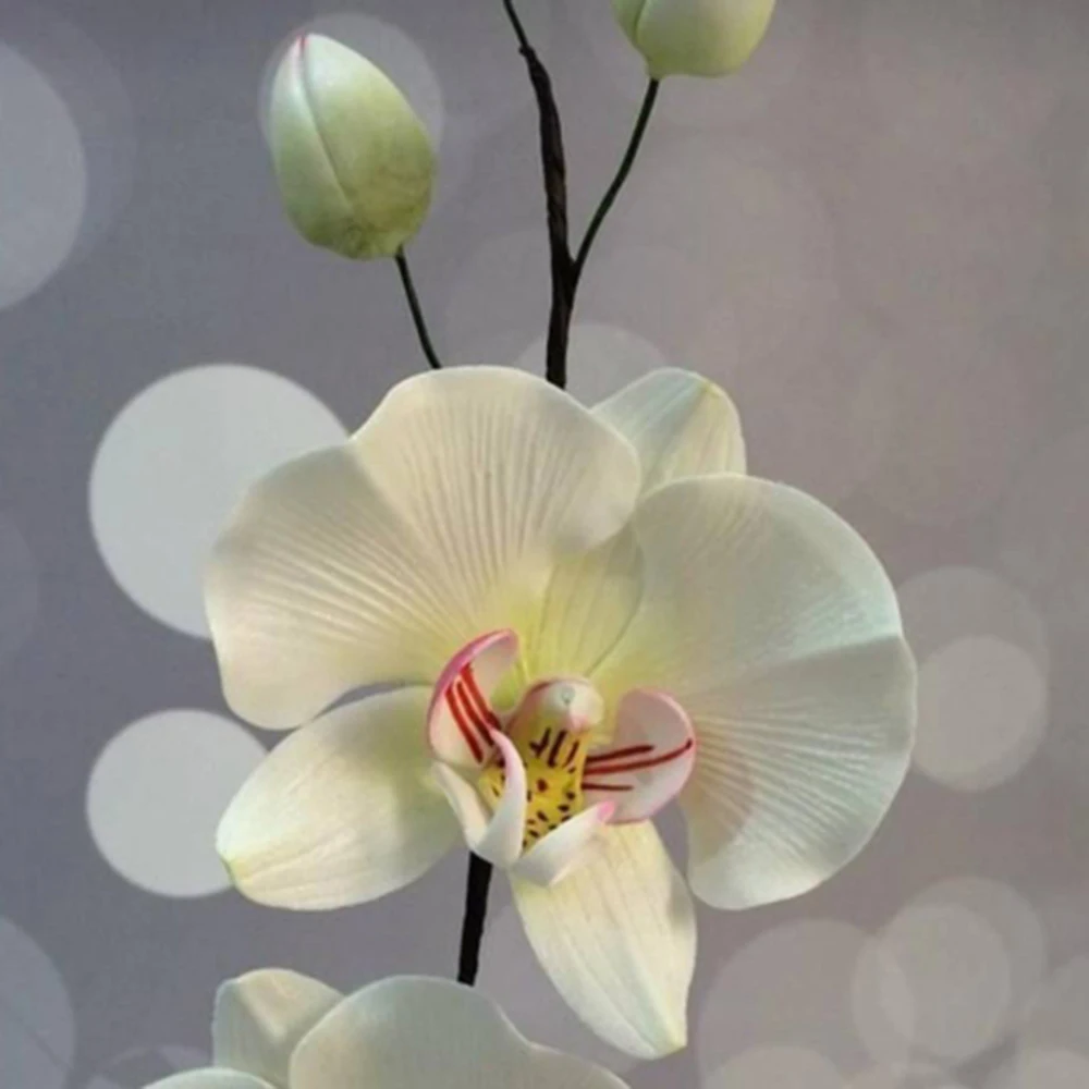 Dies De Coupe D'orchidées, 3,5x3,8 Pouces Métalliques En