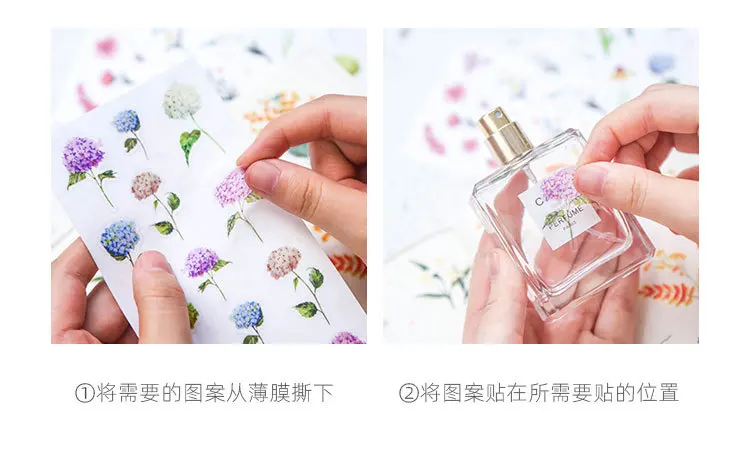 12361329138_1904087305