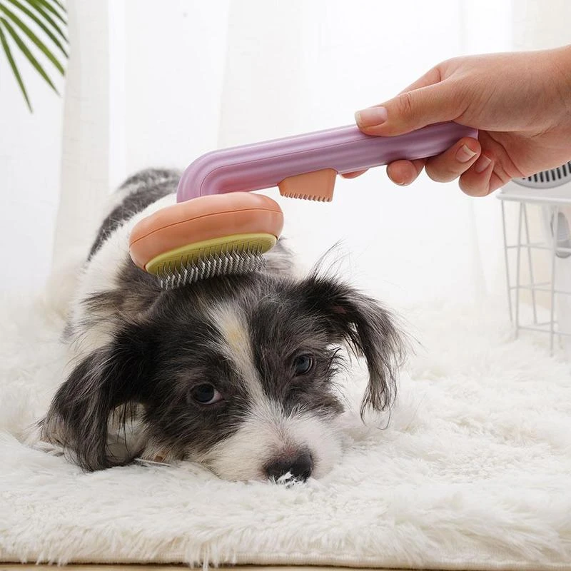Abóbora auto limpeza slicker pente para cão gato filhote de cachorro  coelho, aliciamento escova ferramenta remove suavemente solto undercoat  emaranhado cabelo| | - AliExpress
