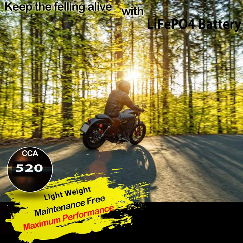 9-BS Аккумулятор LiFepo4 для мотоцикла ATV Honda TRX 400EX Sportrax Fourtrax LTZ250 ZX600, Полярный хищник, YTX9 ETX9 BS батареи