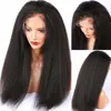 Lace Wigs