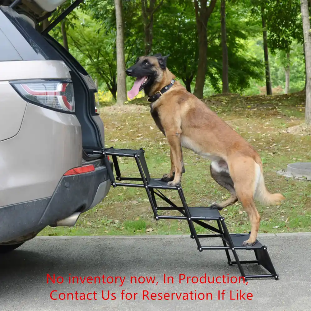 folding portable dog ramp