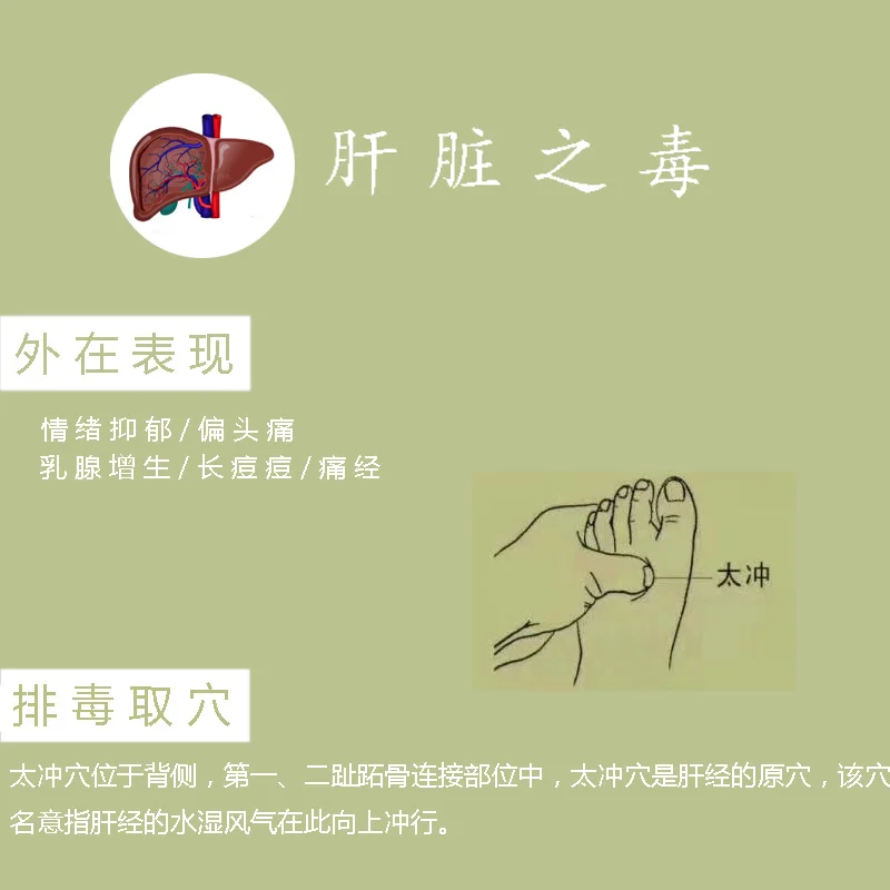 SHARE HO китайская терапия коленный коробка мокса с бархатной сумкой нагревание акупунктурный массаж для пожилых прижигание коробка