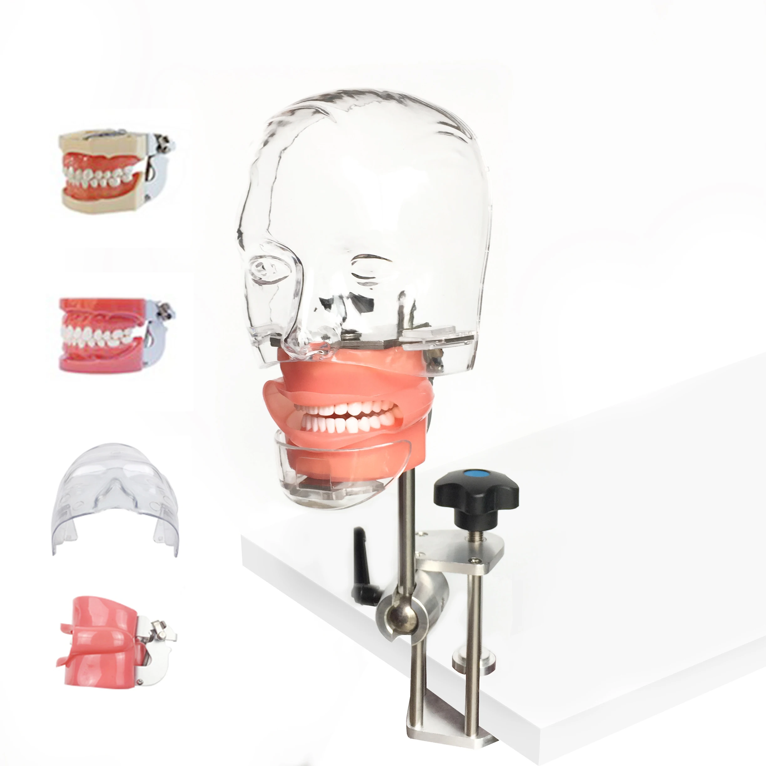 Стоматологический симулятор Ниссин манекен фантомная головка Стоматологическая фантомная головка модель с новым стильным креплением для обучения стоматолога
