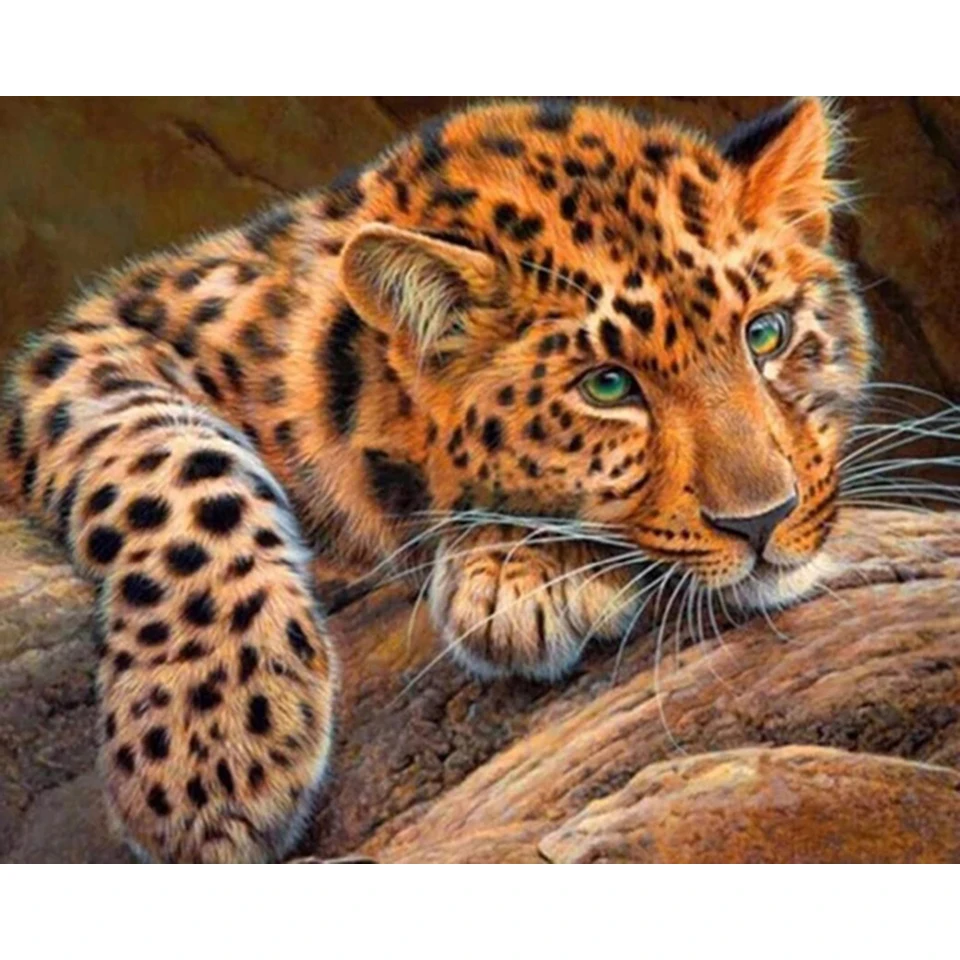DZDP340 Leopard 5D домашний декор алмазная живопись полная настенная наклейка со стразами на заказ Прямая с фабрики DIY животные вышивка крестиком Рождественский подарок - Цвет: DZDP340
