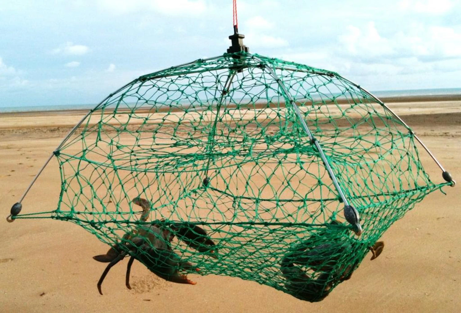 MA960 Patent Strengthened Collapsible Fishing Net Crabbing Nets