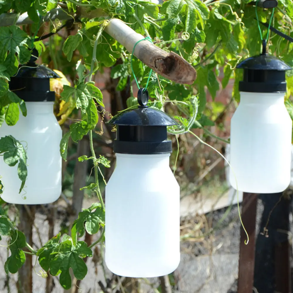 2Pcs White Sticky Trap Gnat Traps Fruit Fly Trap for Garden Outdoor