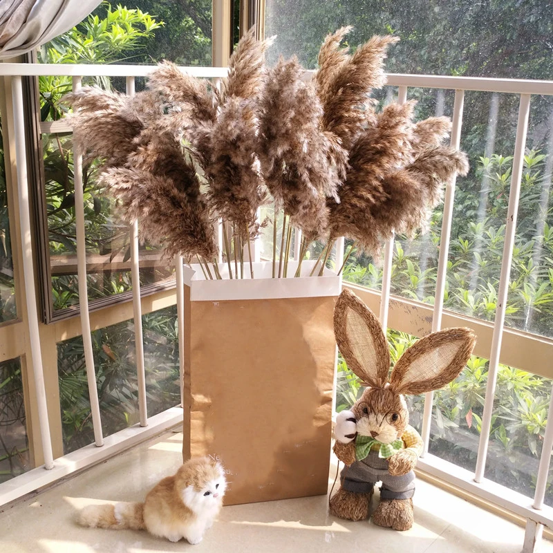 O1CN01Z4agqd1HgUIlKA1Nn_!!921450787