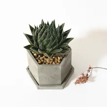 Hexagon concrete Pot Molds Succulent flower pot molds Pen holder mold Storage box silicone molds Planter Molds