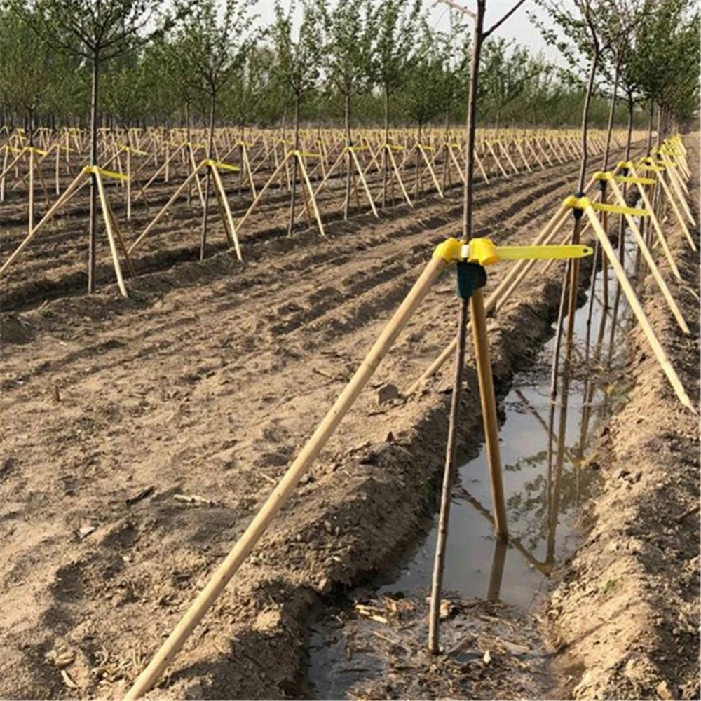 Опорная рама для дерева, держатель кронштейна для ландшафтного дизайна, набор для ландшафтного дизайна