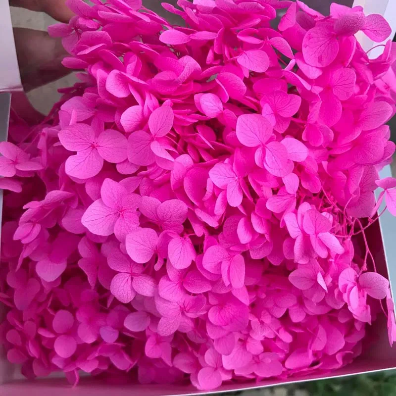 20 г консервированные цветы гортензии Анны, сухая натуральная свежая Гортензия навсегда с маленькими листьями, Роза этернель - Цвет: 23
