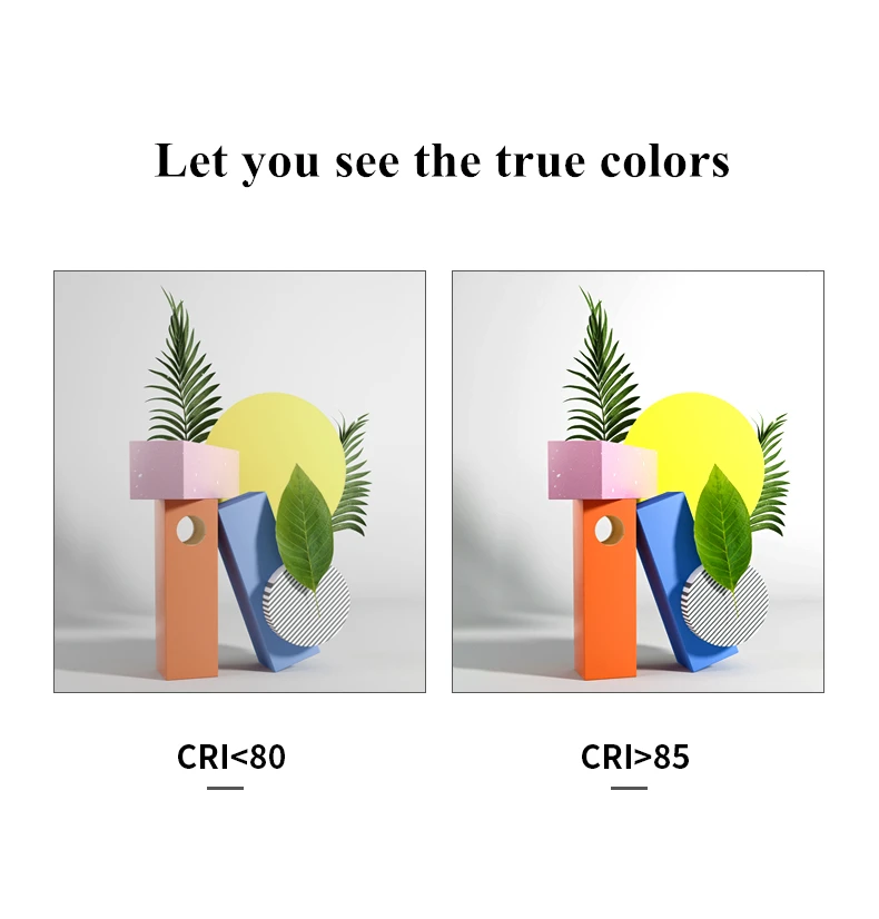 O1CN01j4fzWu20RyQxLHDb4_!!2704446847