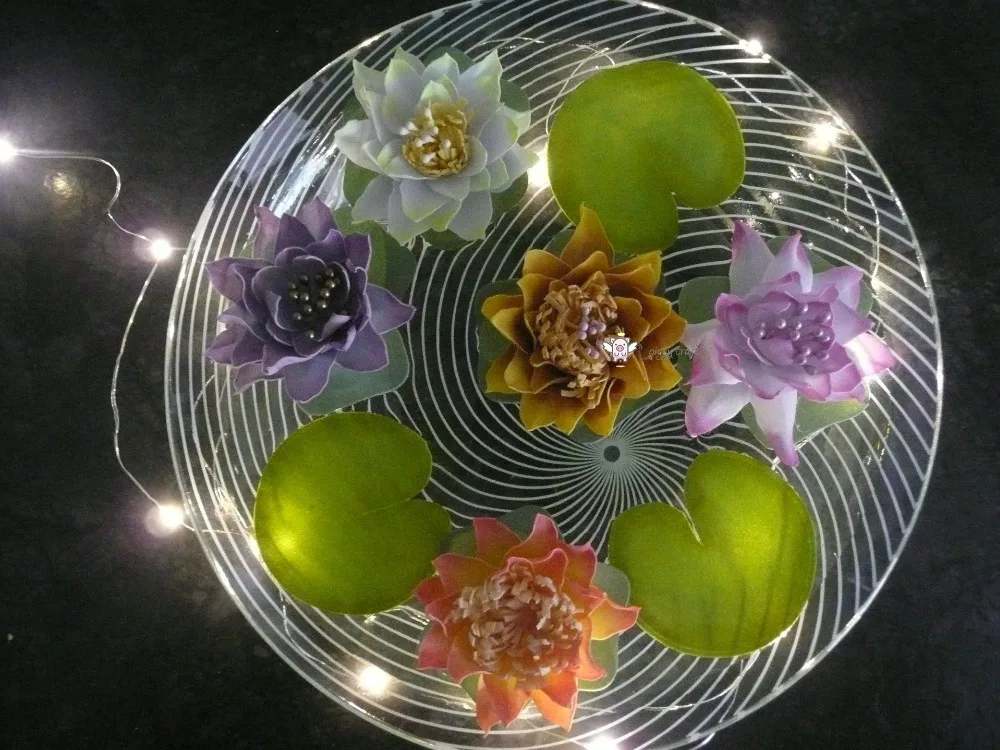 69673687_486057248860805_7021081311917899776_o