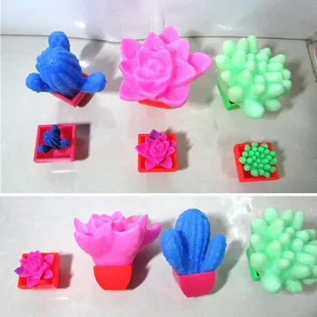 

Inflatable Plant Toys Color Cactus Inflated Toy Plant Flower Children's Educational Toy Soaking Larger Expansion Squishy Toys