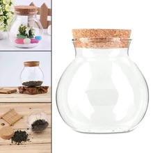 Милый дизайн чай кофе сахар Стеклянные Канистры цветочное растение ваза QT