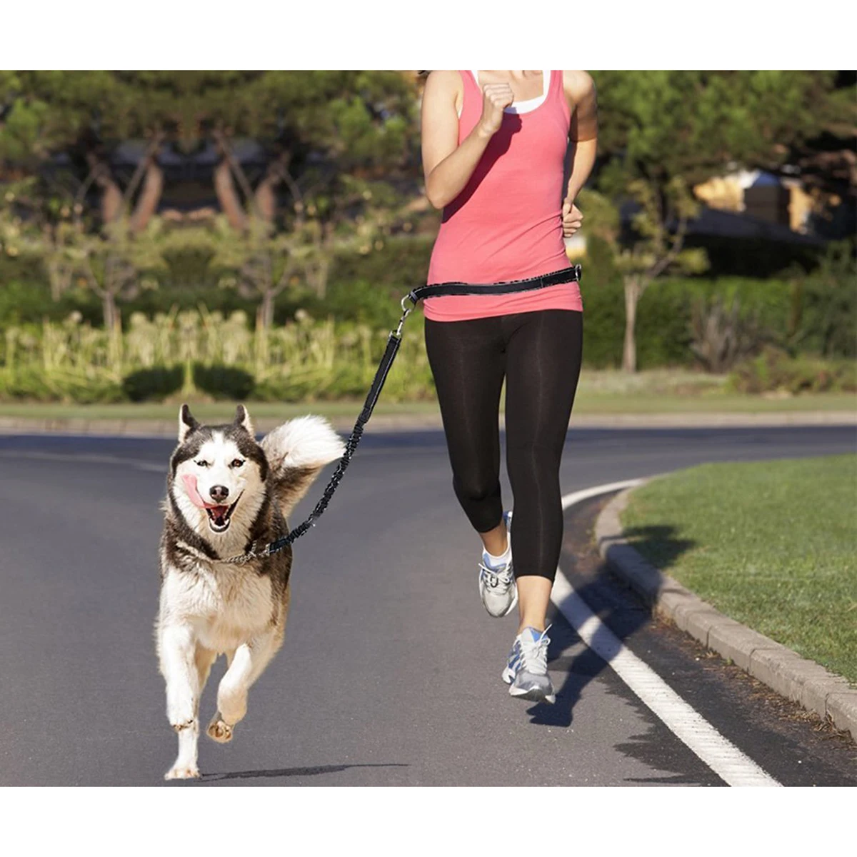 Adjustable Hand Free Dog Leash for Dog Pet Walking Running Jogging Lead Waist Belt Chest Strap