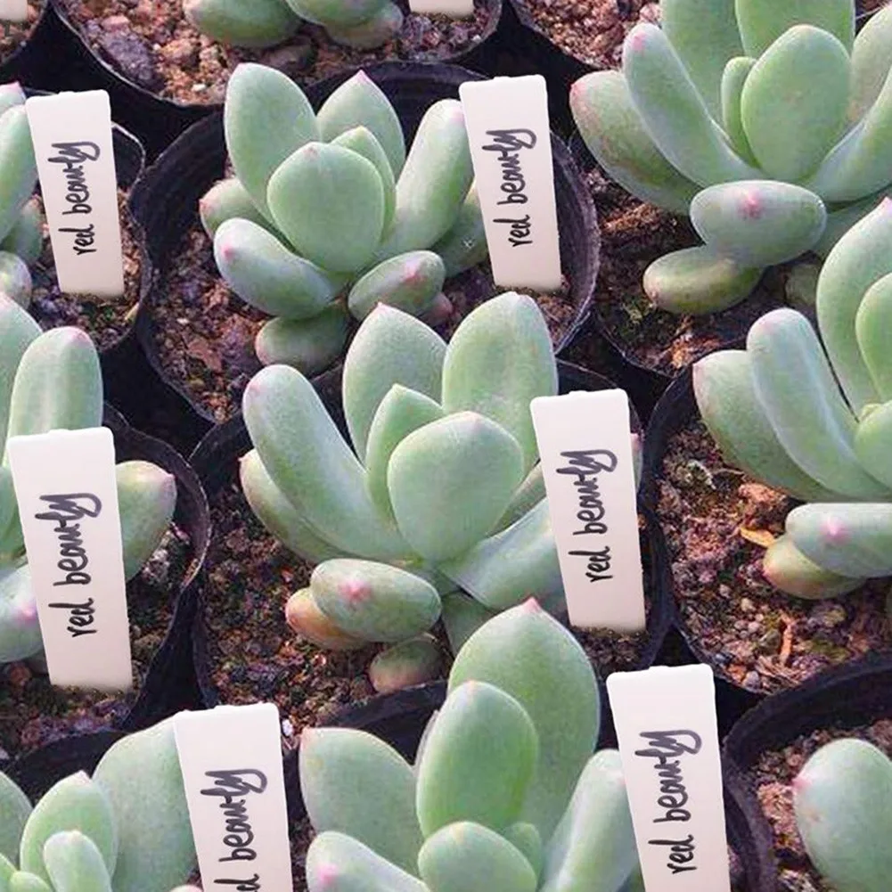 100Pcs White Plastic Plant Labels Waterproof Gardening Plant Classification Sorting Sign Tag Garden Supplies Flower Pot Decor
