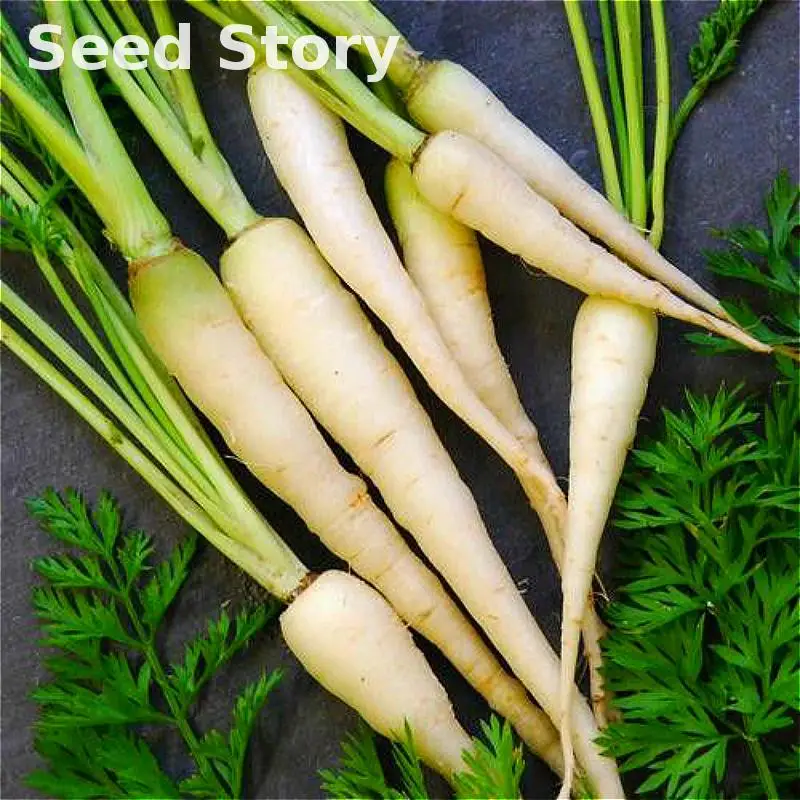 50 растений/упаковка морковь синий желтый редис растения овощи, растения садовые мужчины большой вес здоровье фрукты и овощи еда