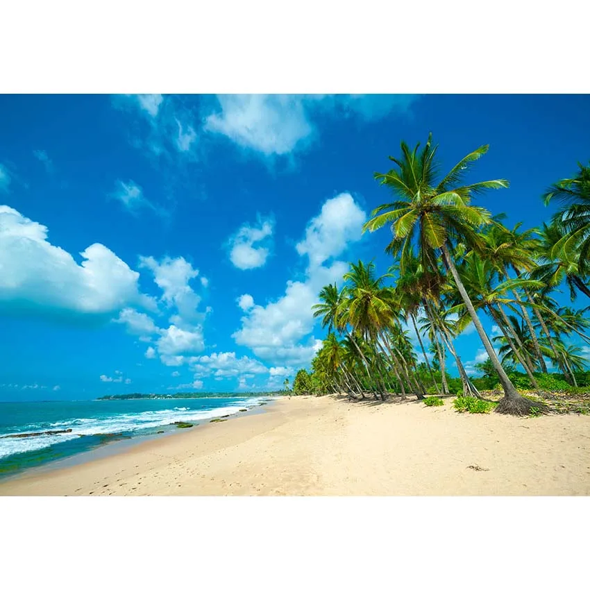 Tropical Beach and Sky Photography Backdrop