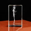 Crystal 3D Laser Engraved Human Anatomical Skeleton Cube Model Statue Paperweight Anatomy Mind Neurology Medical Science Gifts 5