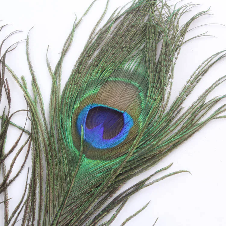 10Pcs Natural Peacock Feather Holiday Party  Plumage Fashion Crafts Beautiful Decorative 25-30cm 5