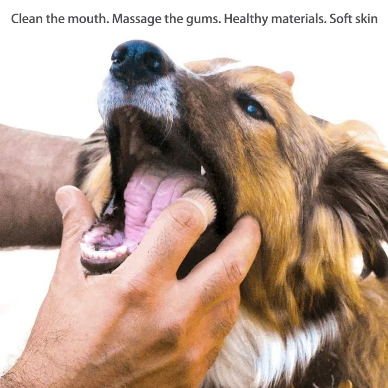 Title 14, 2pcs Pet Dog Tooth Cleaner Tartar Removers Scra...
