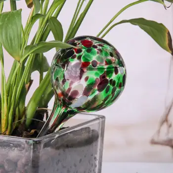 

Color Glass self-watering device Potted Automatic Ball Flower Water Seepage Tool 6 * 15cm Drip Irrigation Anti-fall packaging