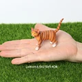 Orange cat