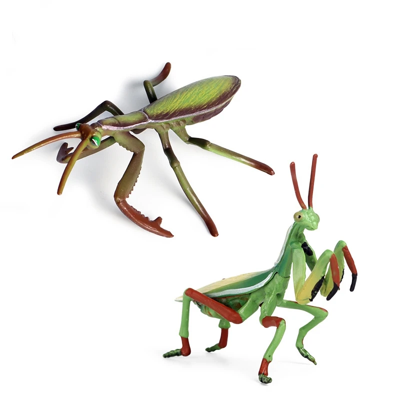 Details about   Educational Insect Figurine Realistic Mantis Model Kids Toy Desktop Decoration 
