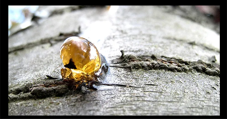 He075010b7790432f8e3890f2eaa5a06cz