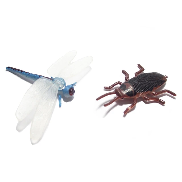 SOURCEPERSON Educativo Modelo de insectos Modelo Juguetes Figurina de  insectos realista Insecto de simulación Insecto falso Cucaracha Escarabajo  PVC