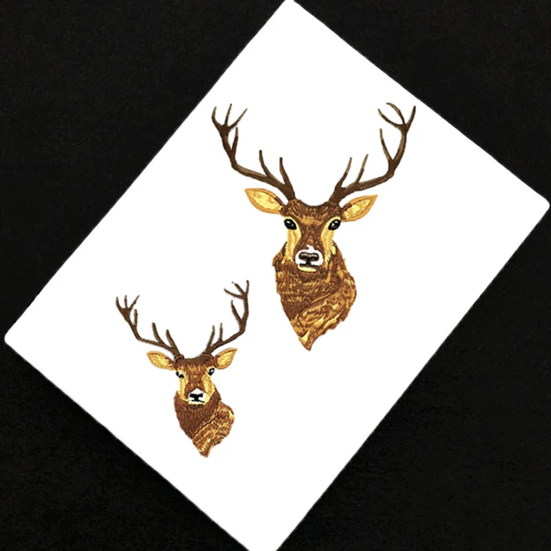 11407360347_892375017