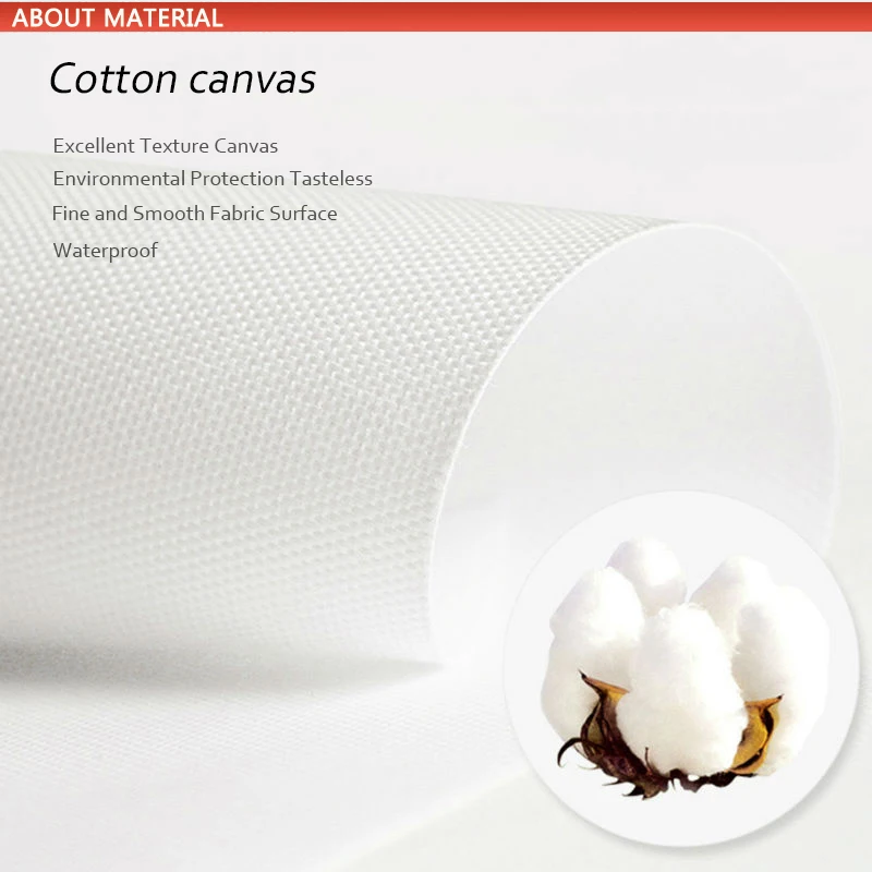 HTB17co2XZfrK1RjSszcq6xGGFXaz