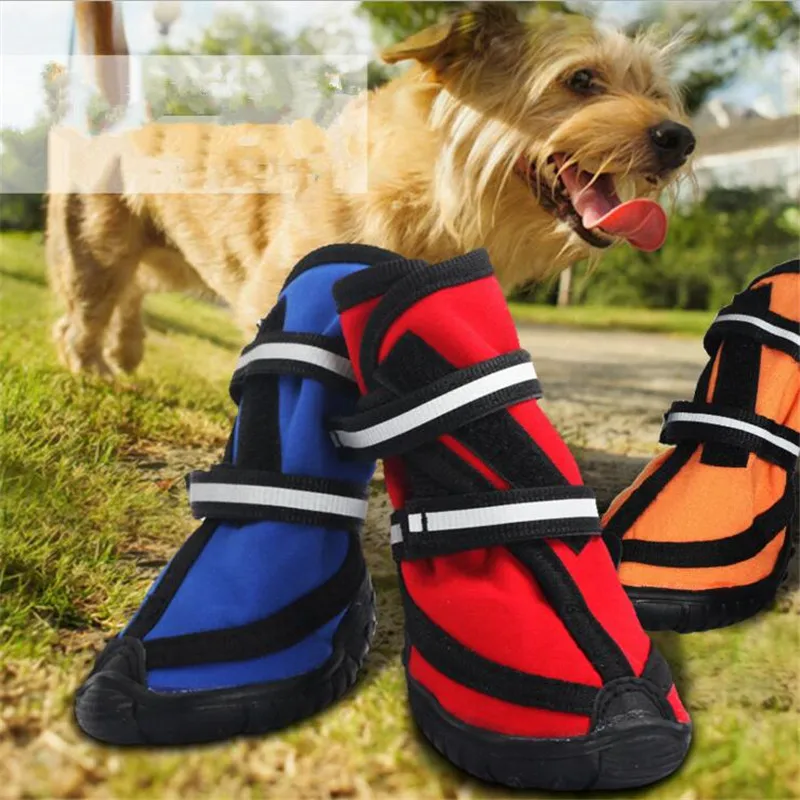 dog shoes