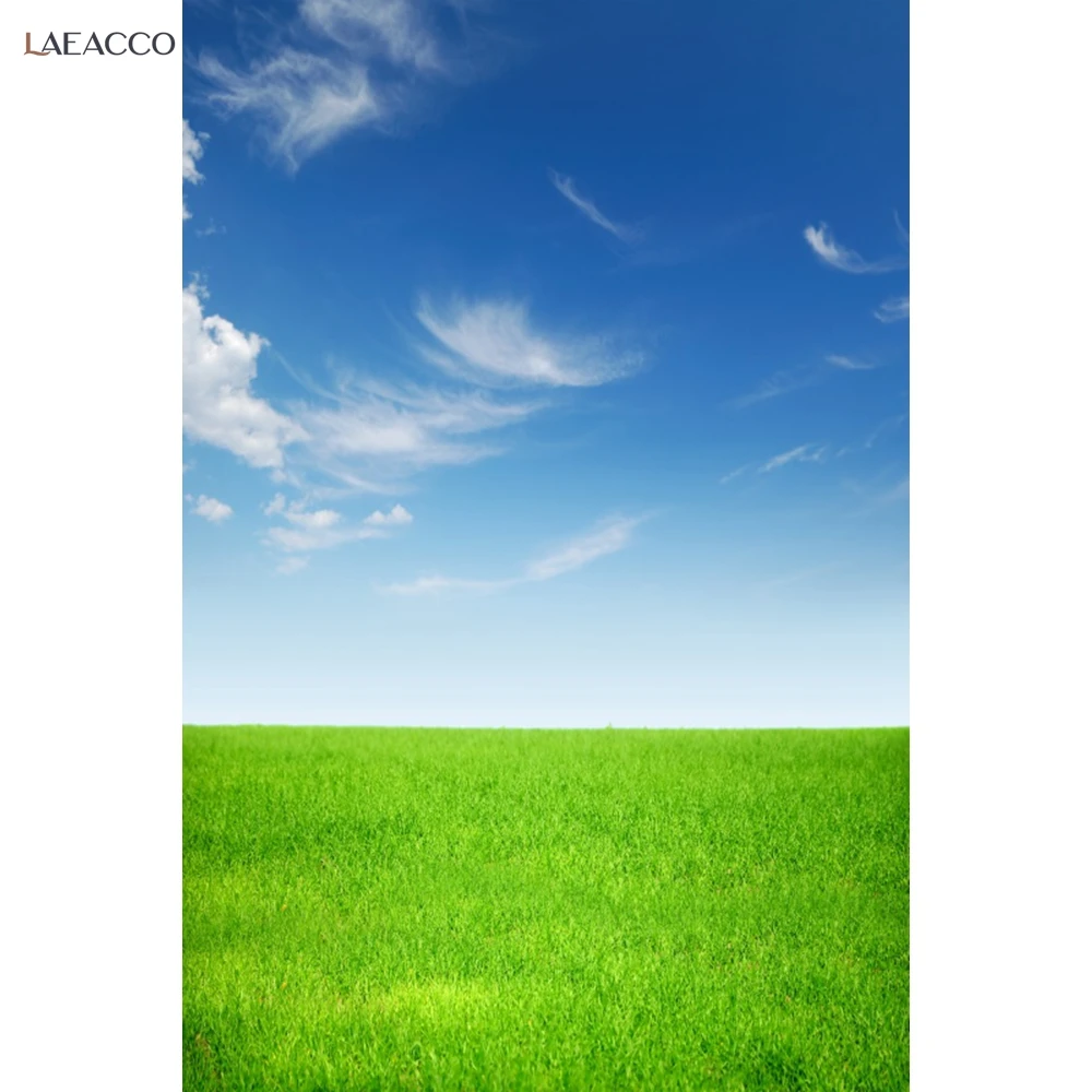 Laeacco Natural Scenery Green Grass Blue Sky Cloud Room Decro Portrait Photographic Backgrounds Backdrops Photocall | Электроника