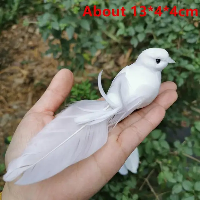 Image 30