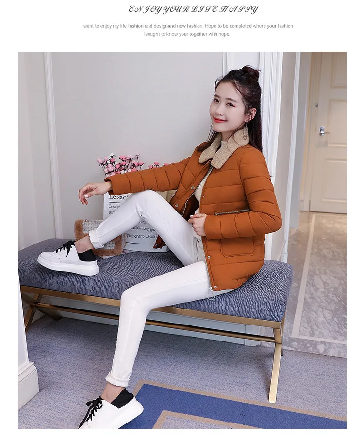 Cotton_28.jpg