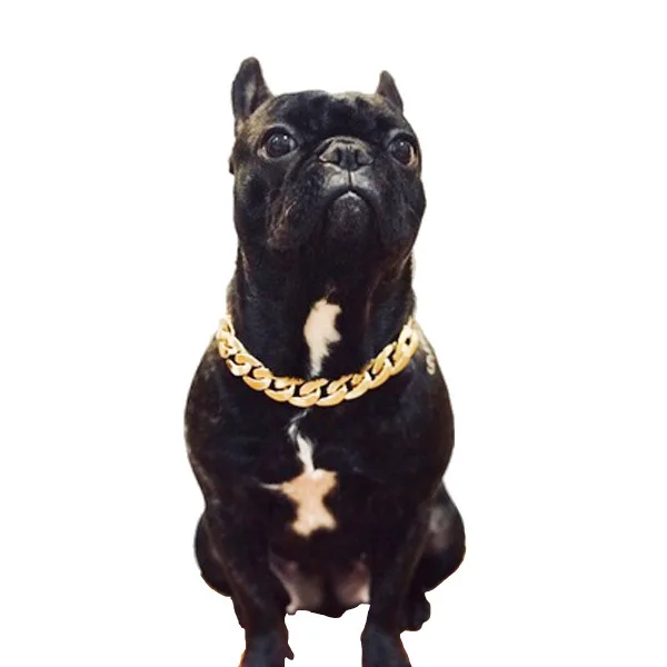 

Pet Dog Cat Collar Personalized Plastic Puppy Chain Safety Gold Collars Thick Fashion Dog Necklace Collar Pet Accessories