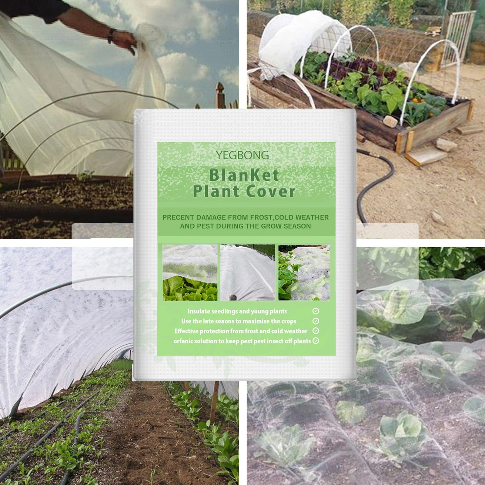How To Protect Plants From Frost Damage Get Busy Gardening Cover