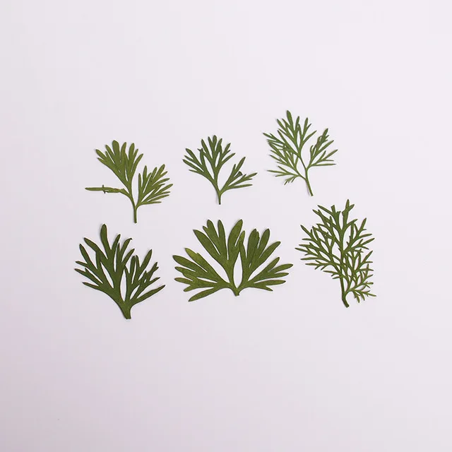 8791140143_448688674.640x640