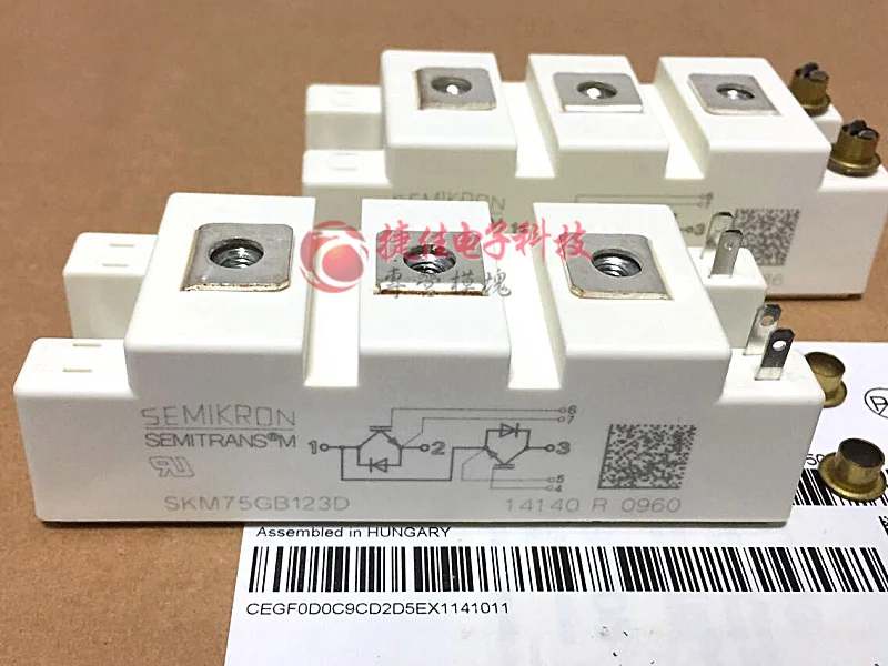 BSM75GB120DN2 SKM75GB123D SKM100GB128D FF100R12RT4