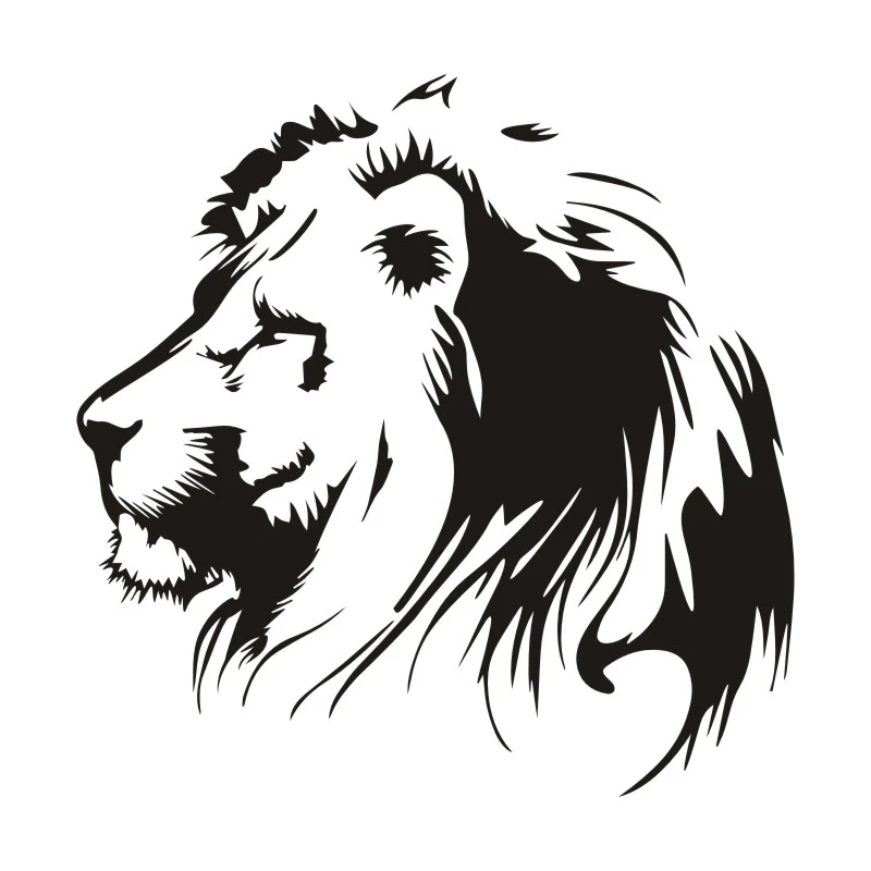 

Interesting Meditation Lion Car Stickers Motorcycle Decals Waterproof Decals PVC 16.5cm X 17cm