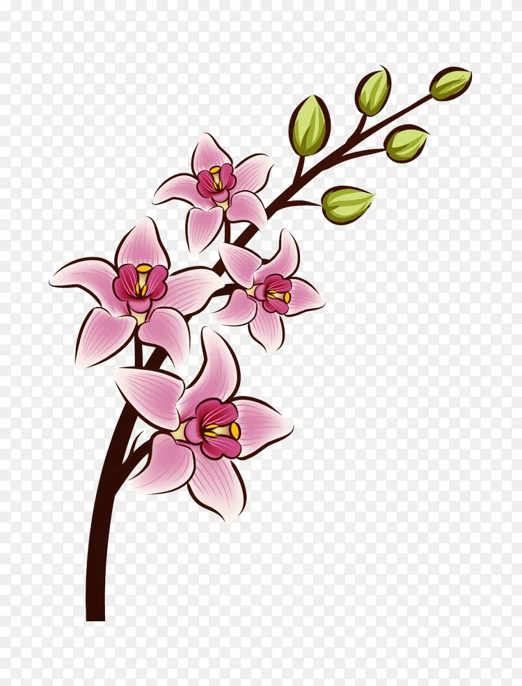 Iphone 4 Iphone 5s台式壁纸ipad Iphone 5c Ipadpng图片素材免费下载 图片编号 Png素材网