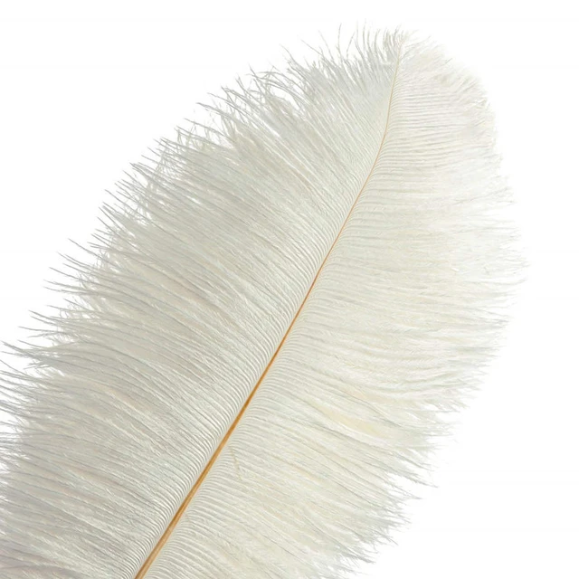 15CM-60CM Natural Colored Ostrich Feathers White Feathers for Vases  Handicraft Accessories Wedding Home Carnival Plumas Decor