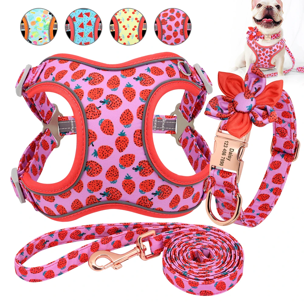 PrintedDogHarnessCustomziedDogCollarNylonDogHarnessCollar