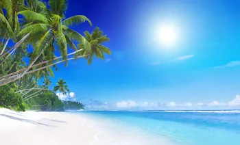 

SHENGYONGBAO Vinyl Custom Photography Backdrops Prop Scenic sea beach Theme Photo Studio Background 18012-3255