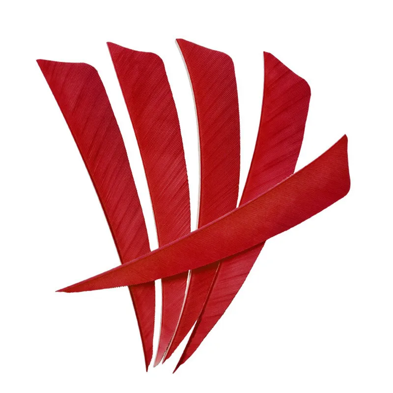 303557_no-logo_303557-1-07-g